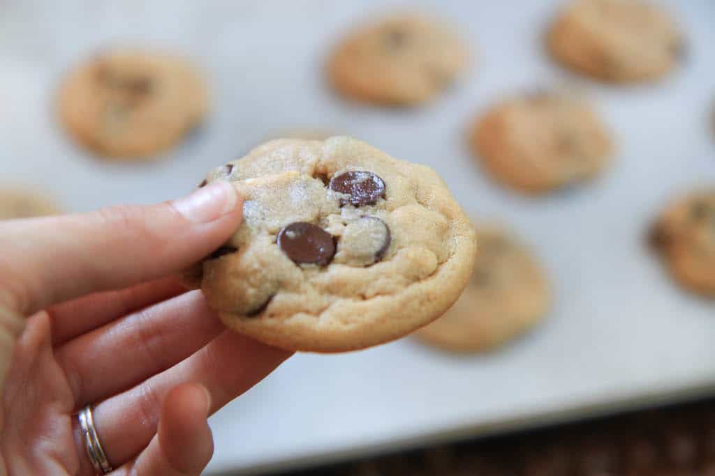 soft but crunchy peanut butter chocolate chip cookies