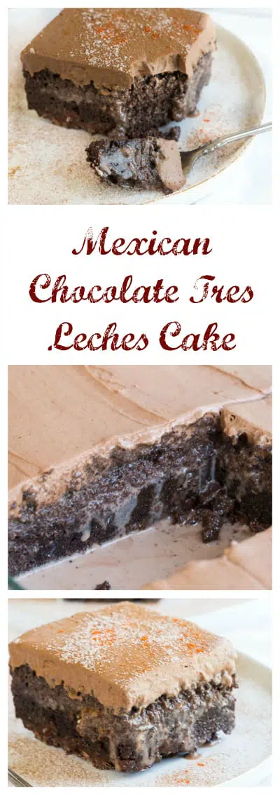 Mexican Chocolate Très Leches Cake