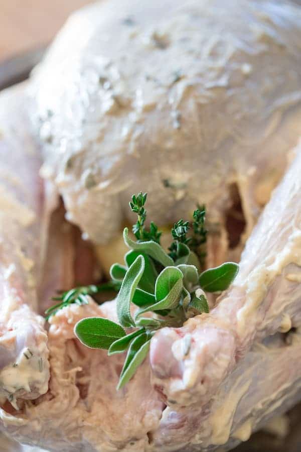 Garlic and Herb Mayonnaise Roasted Turkey with Herbs Ready for Cooking