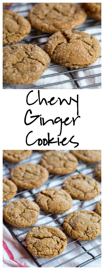 Chewy Ginger Cookies super long collage with text overlay