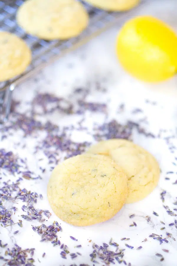 Lavender Lemon Sugar Cookies