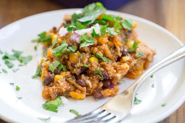 Barbecue Chicken Quinoa Casserole - Focus on One Portion of This Healthy and Delicious Dish Served in a Plate