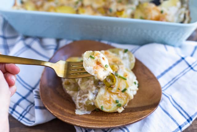 Leek and Gruyere Scalloped Potatoes - the First Bite on a Fork