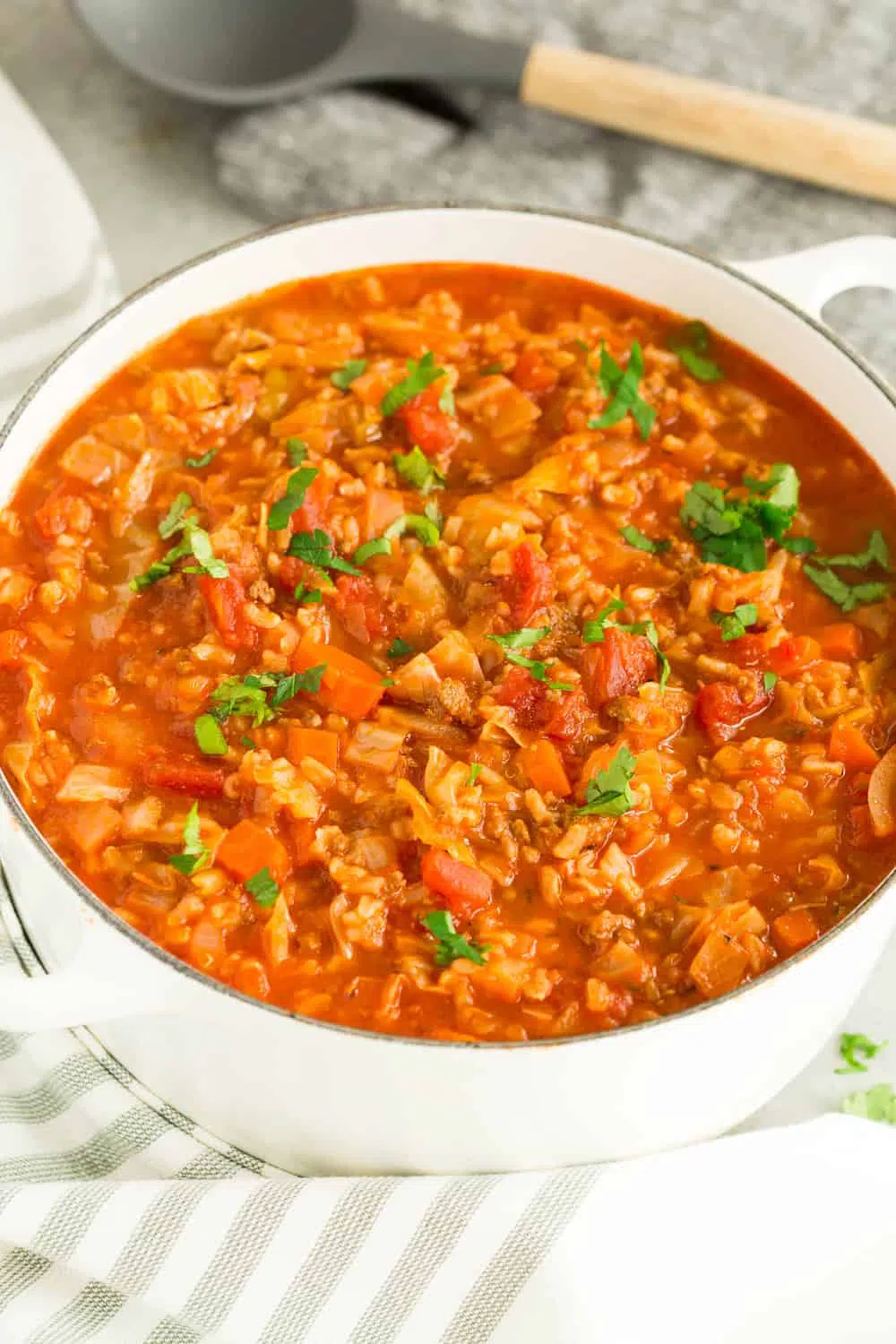 Cabbage Roll Soup