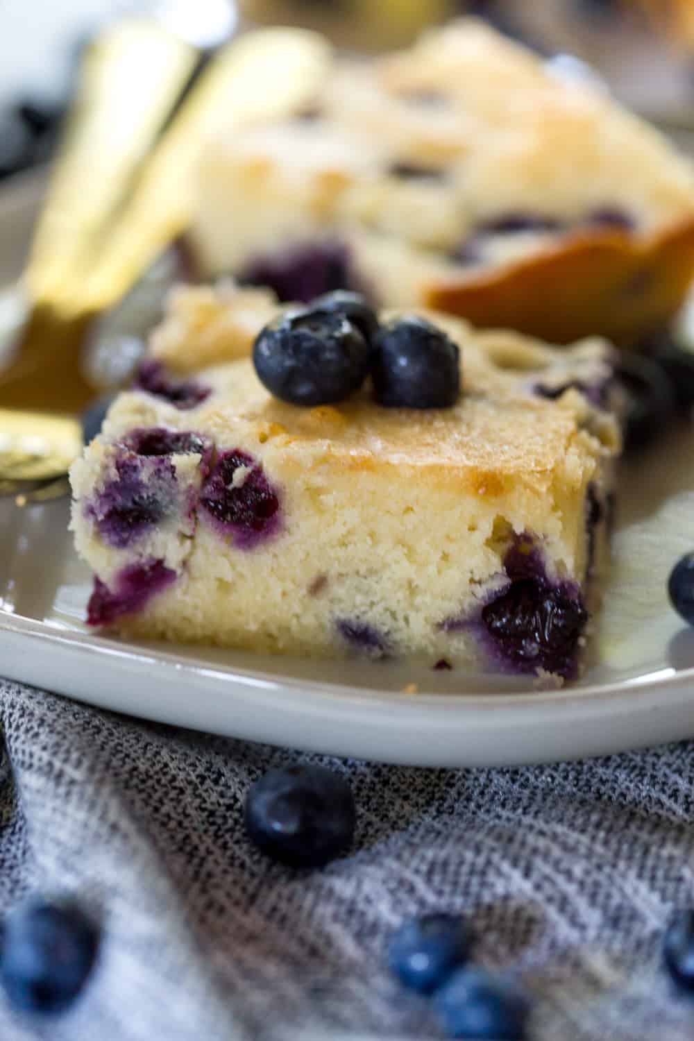Blueberry Breakfast Cake (vegan) | Where You Get Your Protein