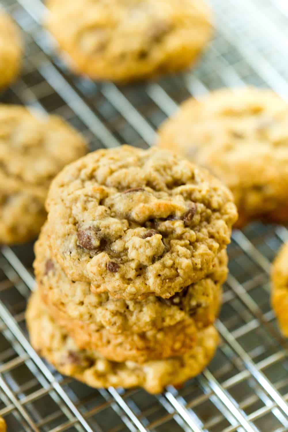 chewy-oatmeal-chocolate-chip-cookies-greens-chocolate