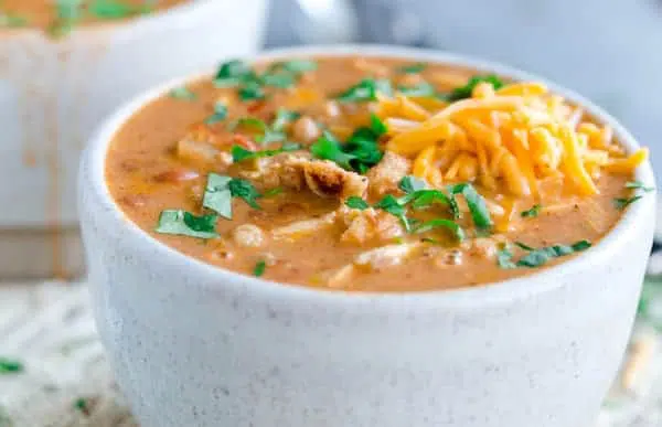 Chicken Enchilada Soup Easy Freezer Meals
