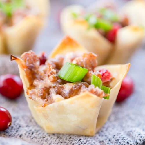 Cranberry Sausage Wontons