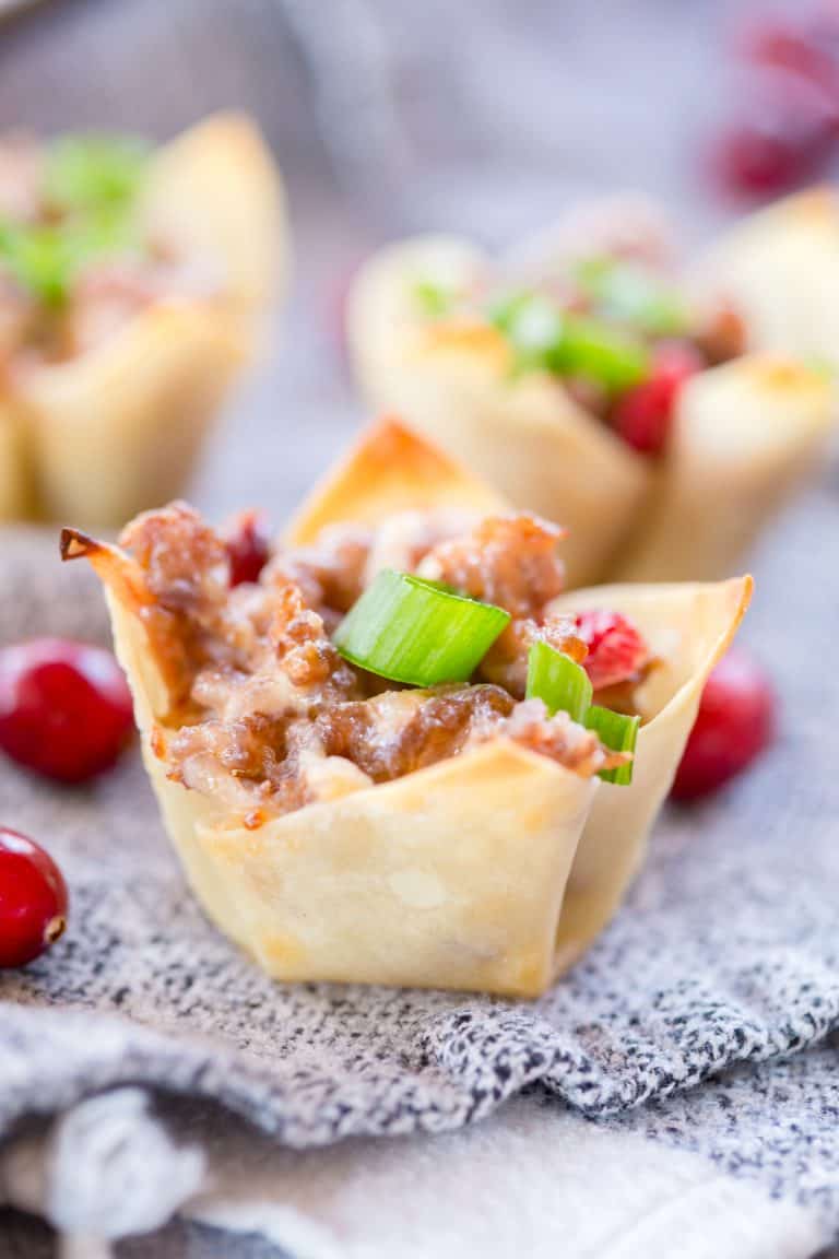 Cranberry Sausage Wontons