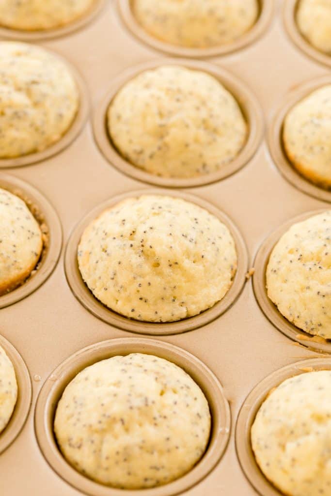 Almond Poppy Seed Mini Muffins