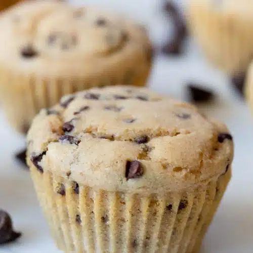 Kodiak Cakes Muffin Recipe