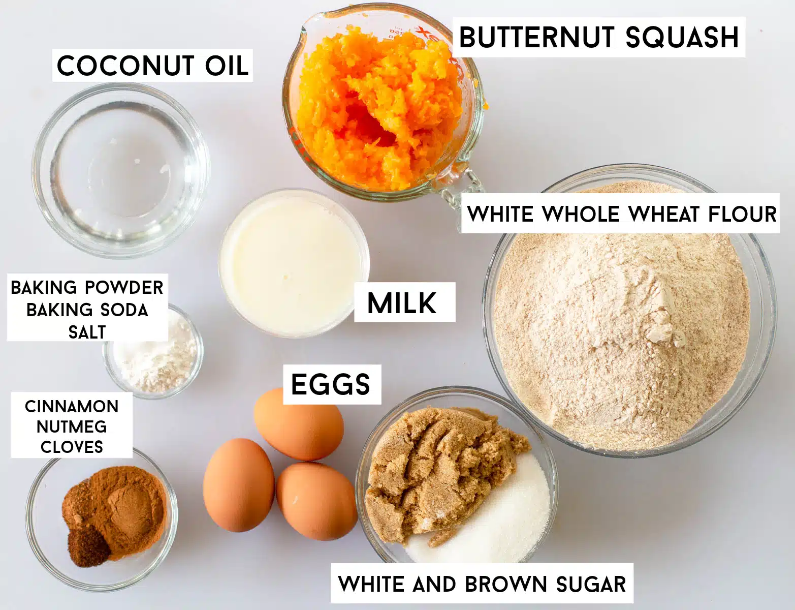 Butternut Squash Muffin ingredients in bowls on a white background - butternut squash, coconut oil, milk, white whole wheat flour, baking powder, baking soda, salt, cinnamon, nutmeg, cloves, eggs, brown sugar, white sugar. 