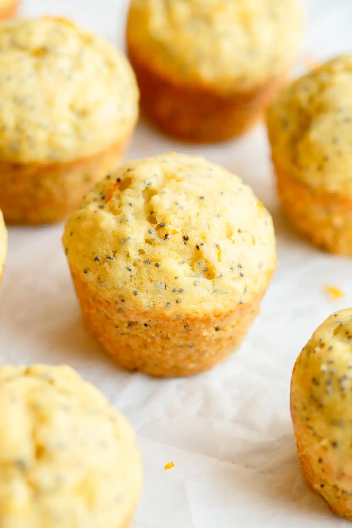 Orange Poppy Seed Muffin on a piece of parchment paper with orange zest sprinkled around it.