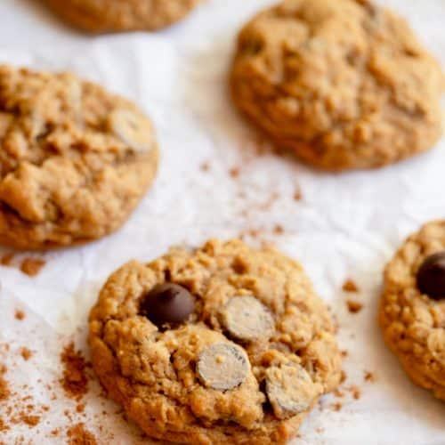 Pumpkin Oatmeal Chocolate Chip Cookies