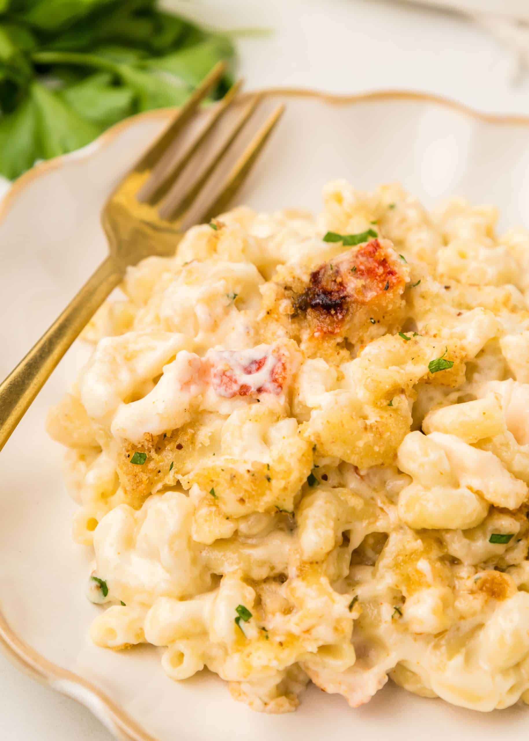 Lobster Macaroni and Cheese on a white plate with a gold fork next to it. 