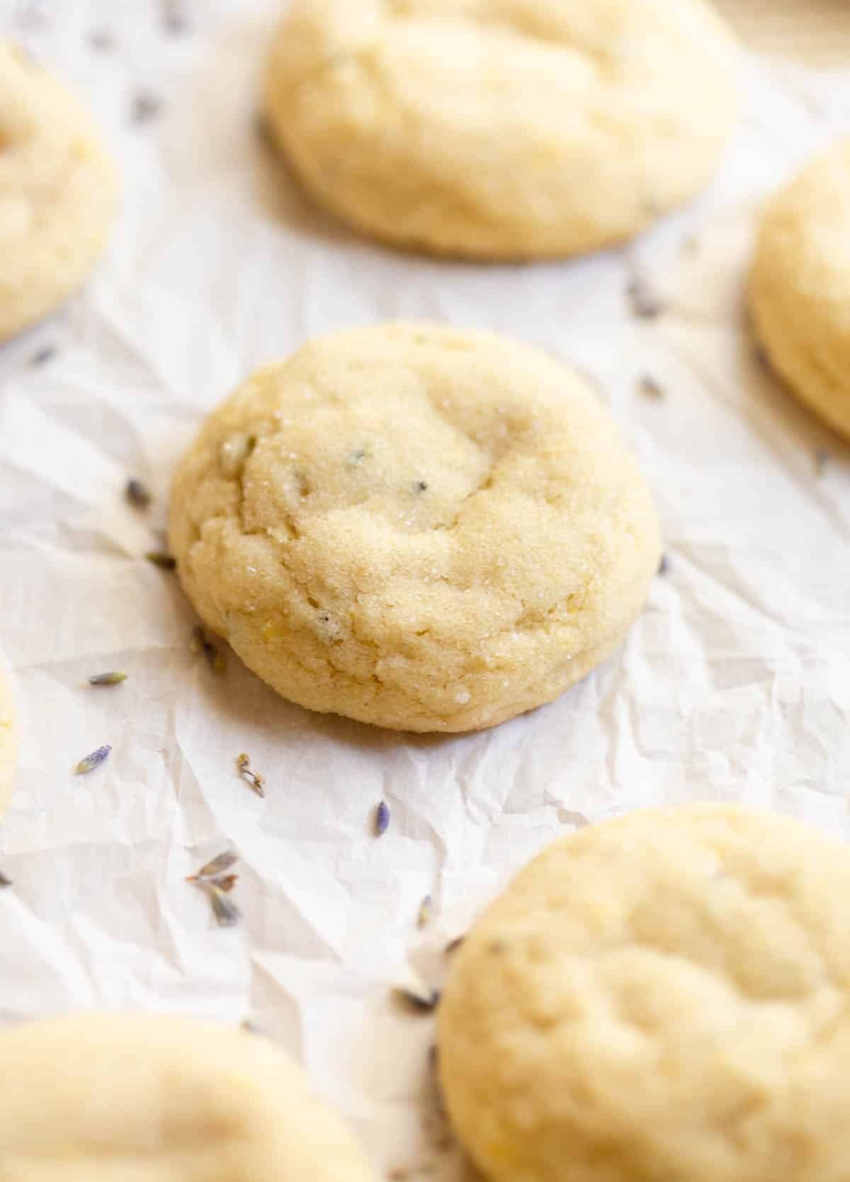 Lavender Lemon Sugar Cookies on parchment paper with dried lavender buds scattered around them. 