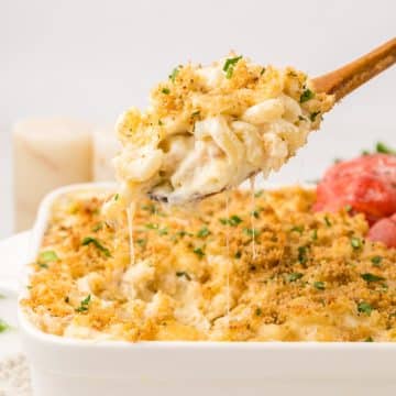 Lobster Macaroni and Cheese