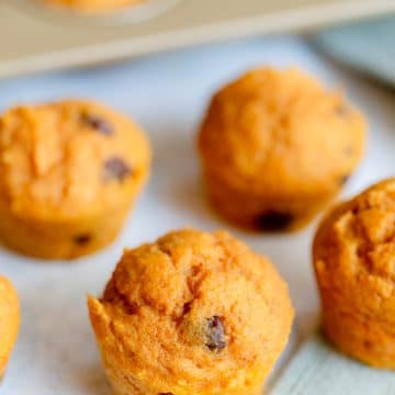 Protein Pumpkin Muffins