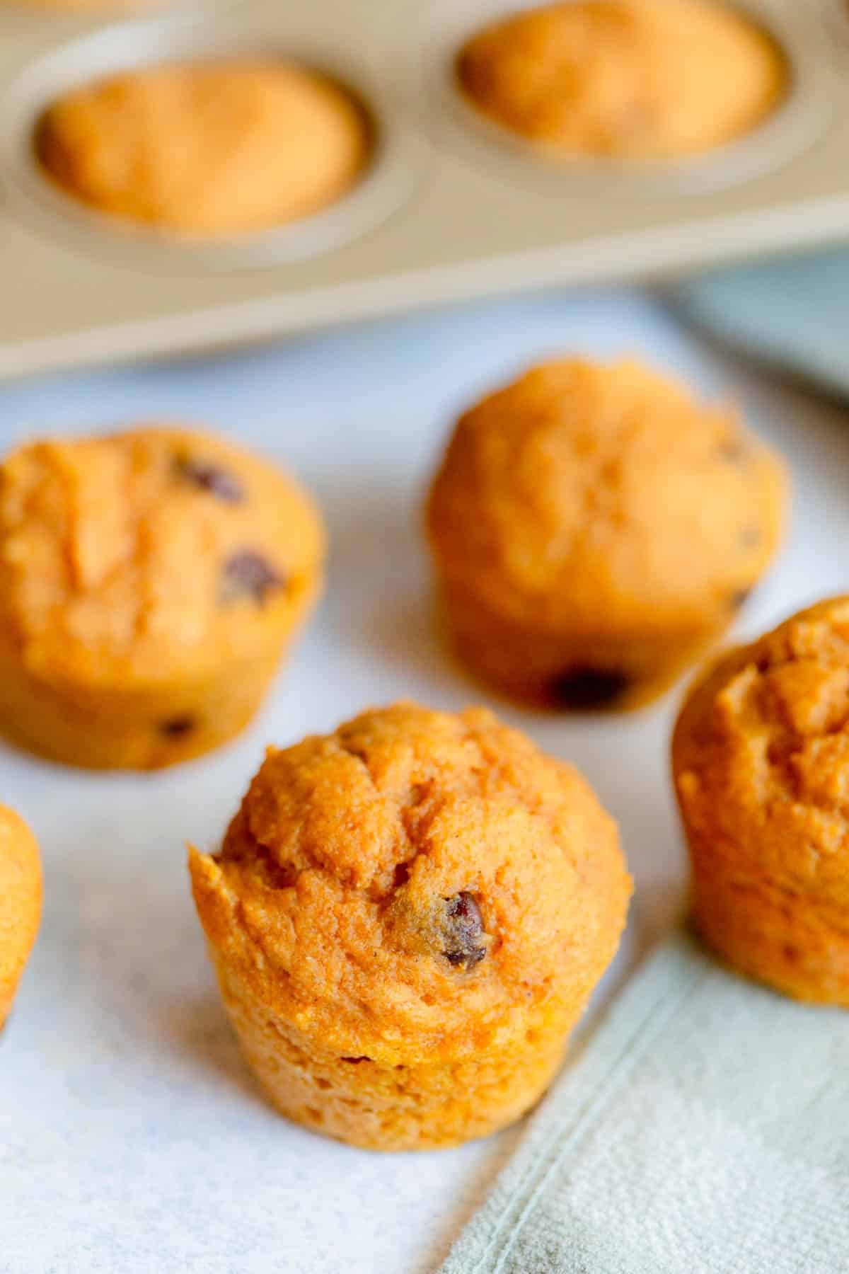 Protein Pumpkin Muffins on parchment paper with a muffin pan n the background. 