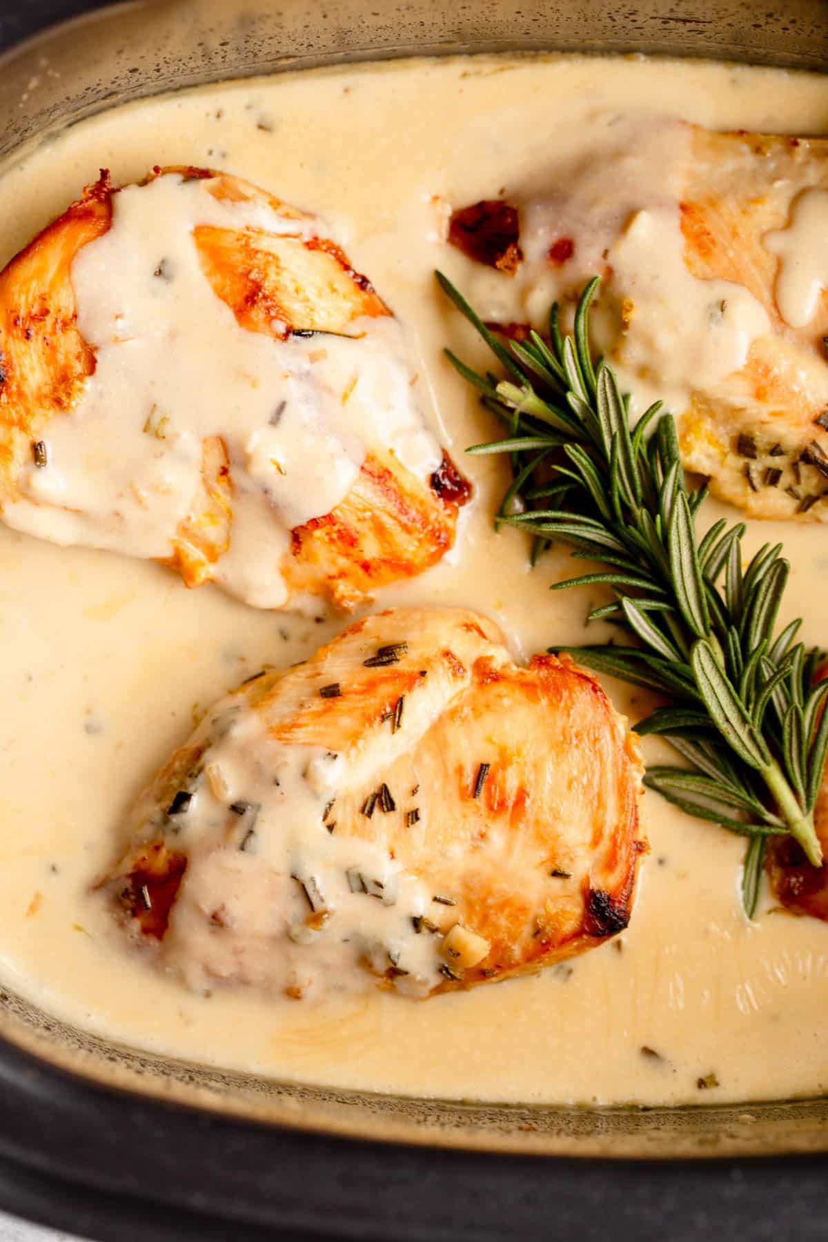 Slow Cooker Creamy Lemon Herb Chicken in the slow cooker surrounded by the lemon sauce with a sprig of rosemary in the background. 