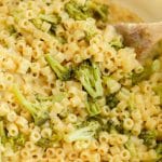 Creamy Broccoli Pasta