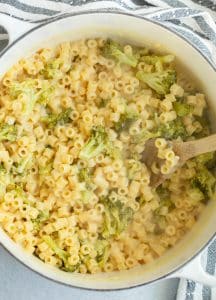 Creamy Broccoli Pasta