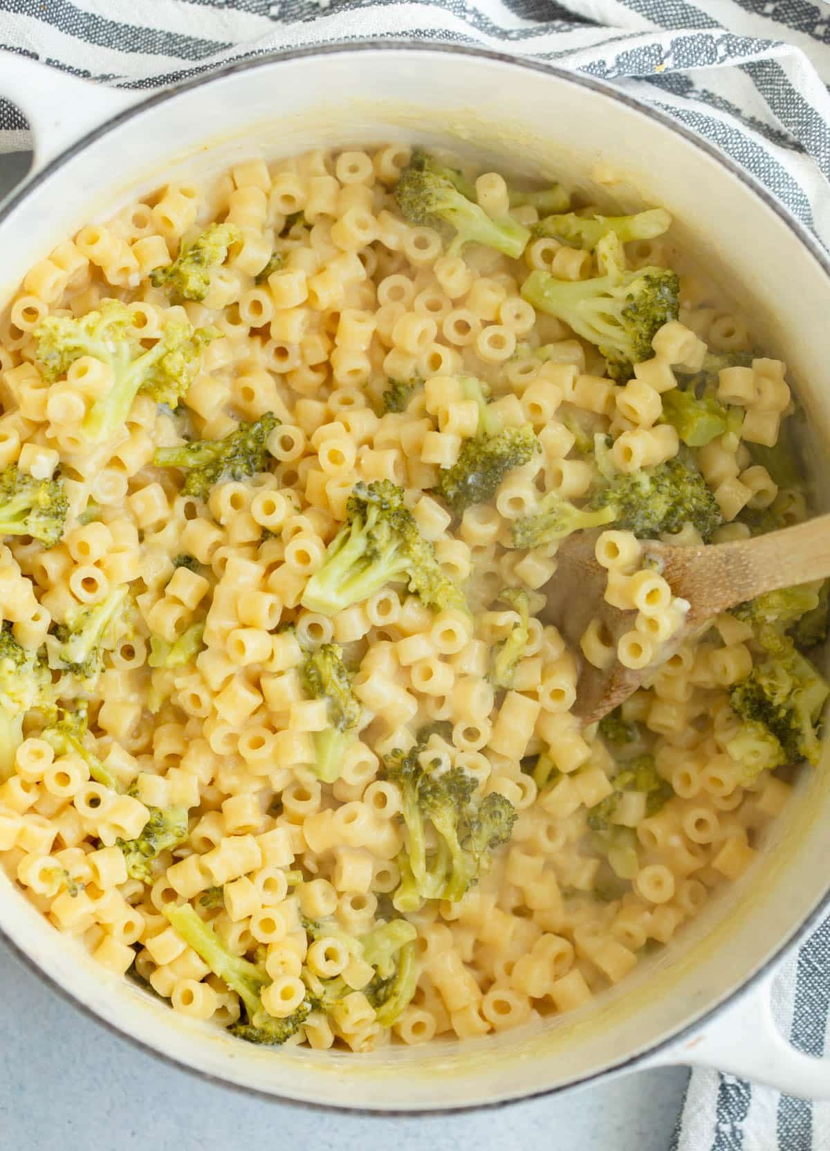 Creamy Broccoli Pasta in a white dutch oven with a wooden spoon resting in it.