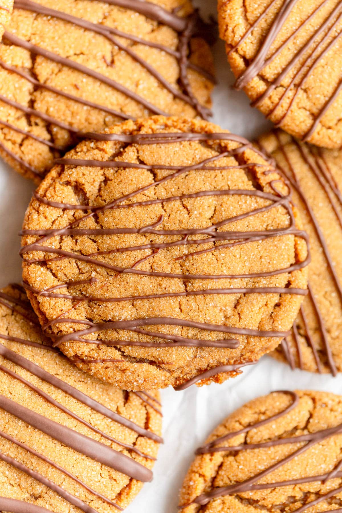 Chocolate Drizzled Ginger Cookies on a parchment paper lined baking sheet. 