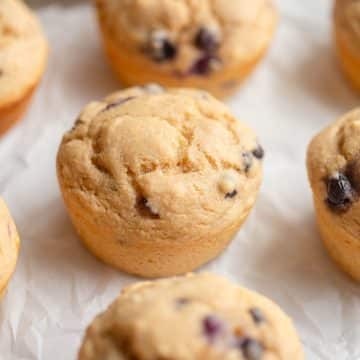 Kodiak Blueberry Muffins