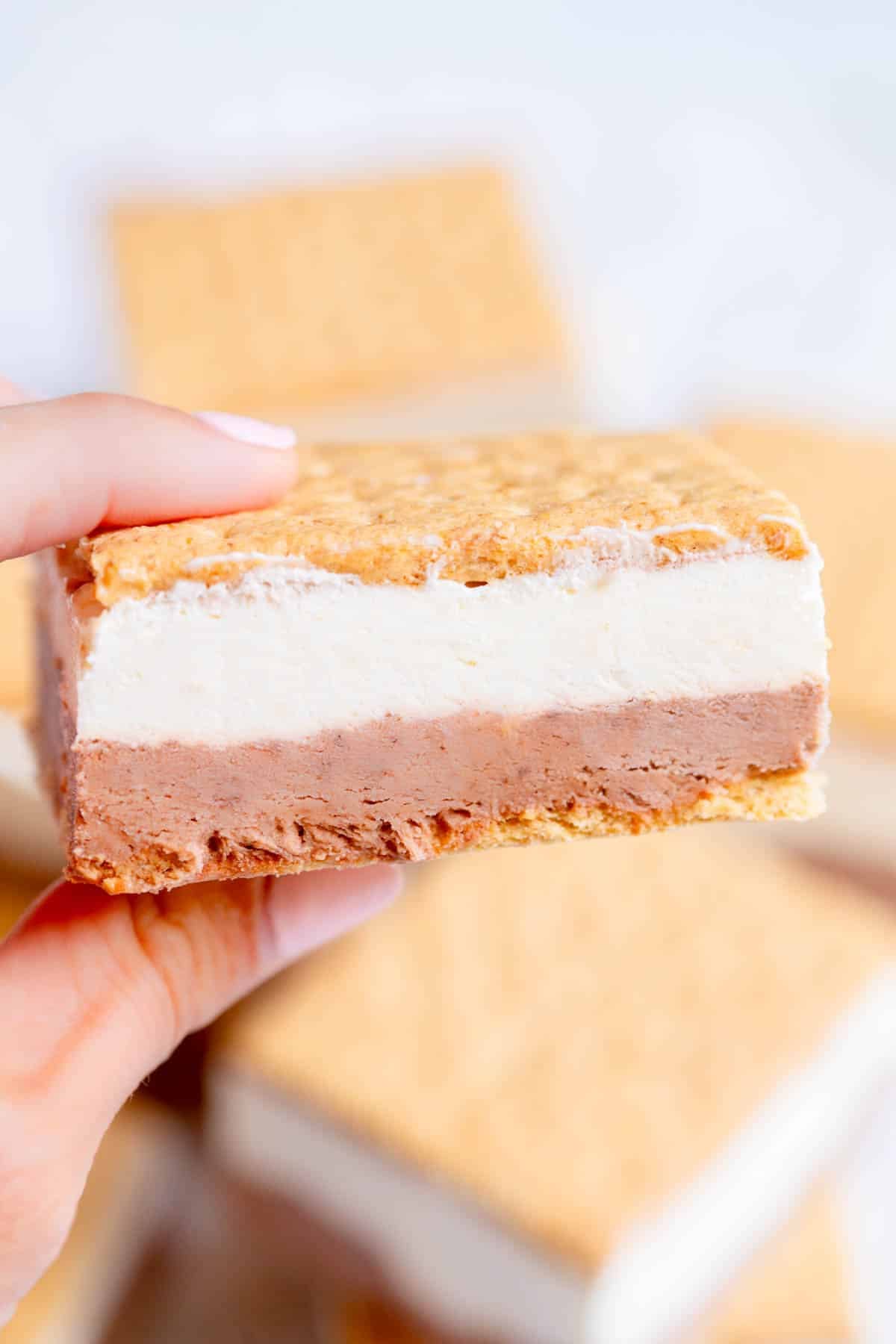 A hand holding a Frozen S'Mores Bar.